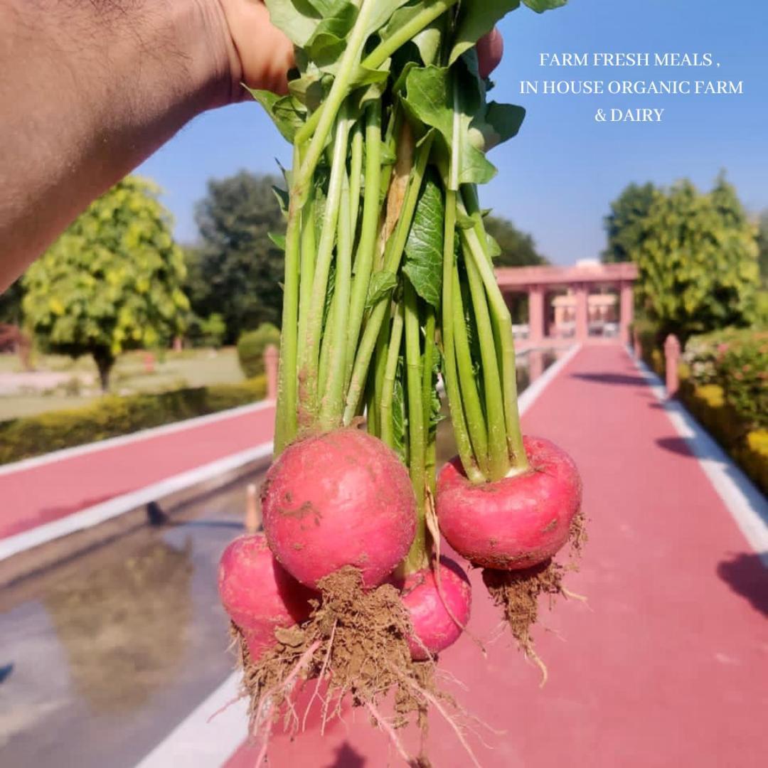 Umaid Palace - A Lakeside Heritage Palace Resort Near Jaipur Close To Bhangarh & Chand Baori Stepwell Abhaneri Dubbi Bagian luar foto